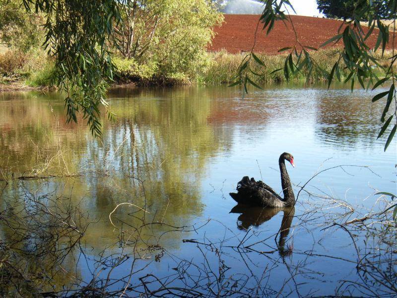 745 Forth Road, Forth TAS 7310