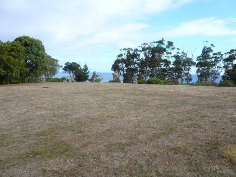 43 Hull Street, Leith TAS 7315