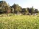 1104 Kindred Road, Kindred TAS 7310