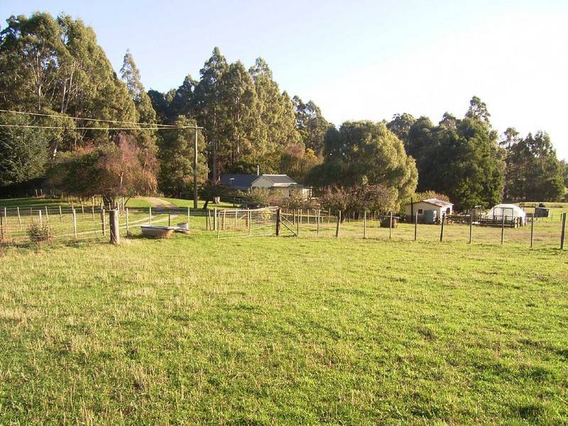 1104 Kindred Road, Kindred TAS 7310