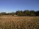 1104 Kindred Road, Kindred TAS 7310