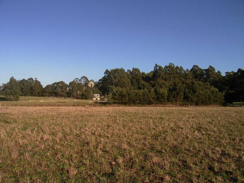 1104 Kindred Road, Kindred TAS 7310
