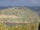 Lot 1 Buxtons Road, Wilmot TAS 7310