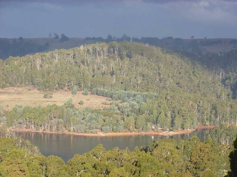 Lot 1 Buxtons Road, Wilmot TAS 7310