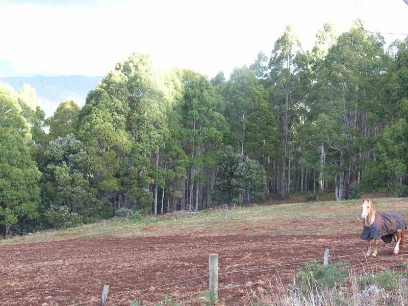 Lot 1 Buxtons Road, Wilmot TAS 7310