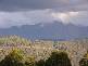 Lot 1 Buxtons Road, Wilmot TAS 7310