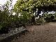 13 Mission Hill Road, Penguin TAS 7316