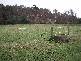 Wilmot Road, Forth TAS 7310
