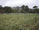 Wilmot Road, Forth TAS 7310
