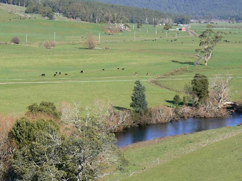 1730 South Riana Road, Gunns Plains, Ulverstone TAS 7315