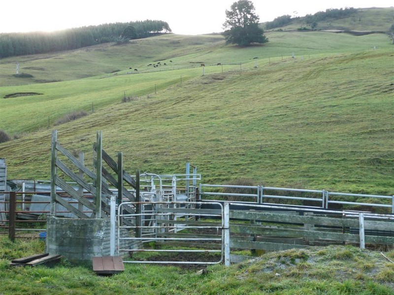 160 Lowana Road, Gunns Plains TAS 7315