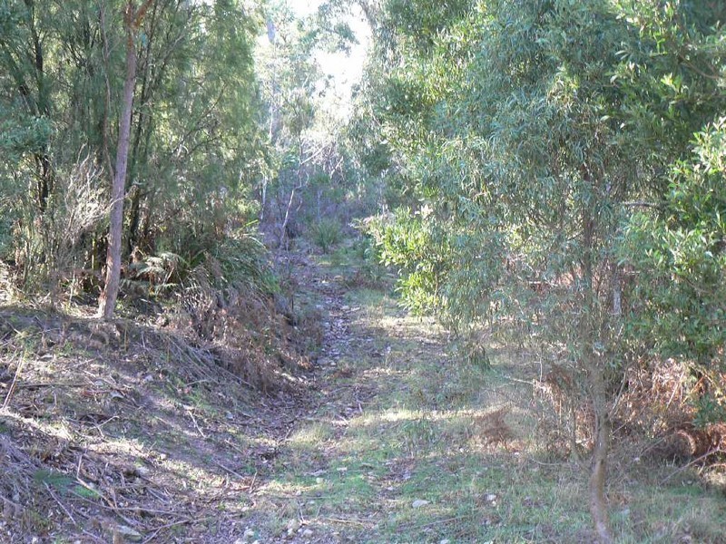 269 Pumping Station Road, Forth TAS 7310