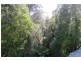 . Moina Road, Moina TAS 7310