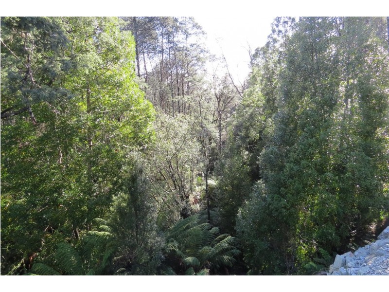 . Moina Road, Moina TAS 7310