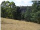 800 Lowanna Road, Gunns Plains TAS 7315