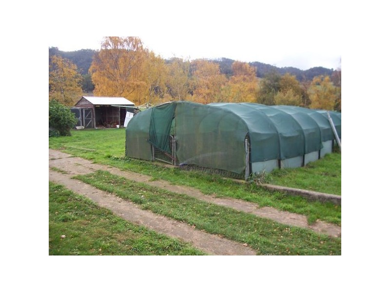 320 Lowanna Road, Gunns Plains TAS 7315