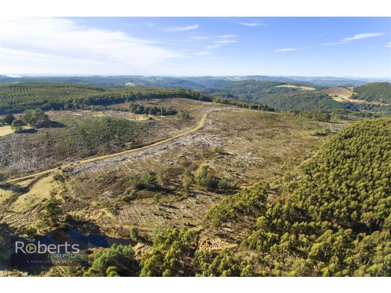 317 South Nietta Road, Nietta TAS 7315