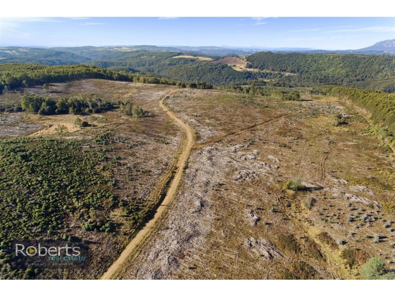 317 South Nietta Road, Nietta TAS 7315