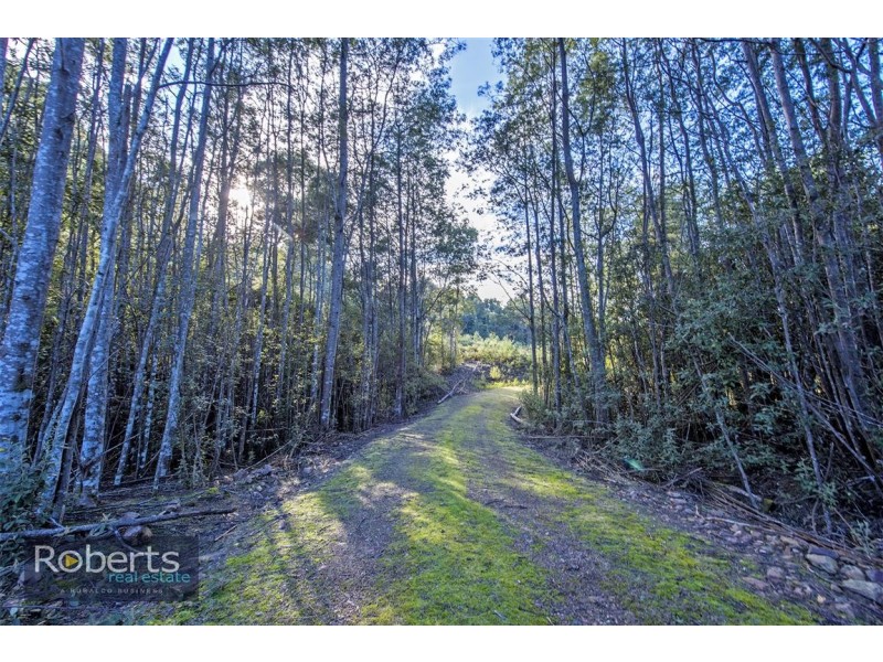 317 South Nietta Road, Nietta TAS 7315