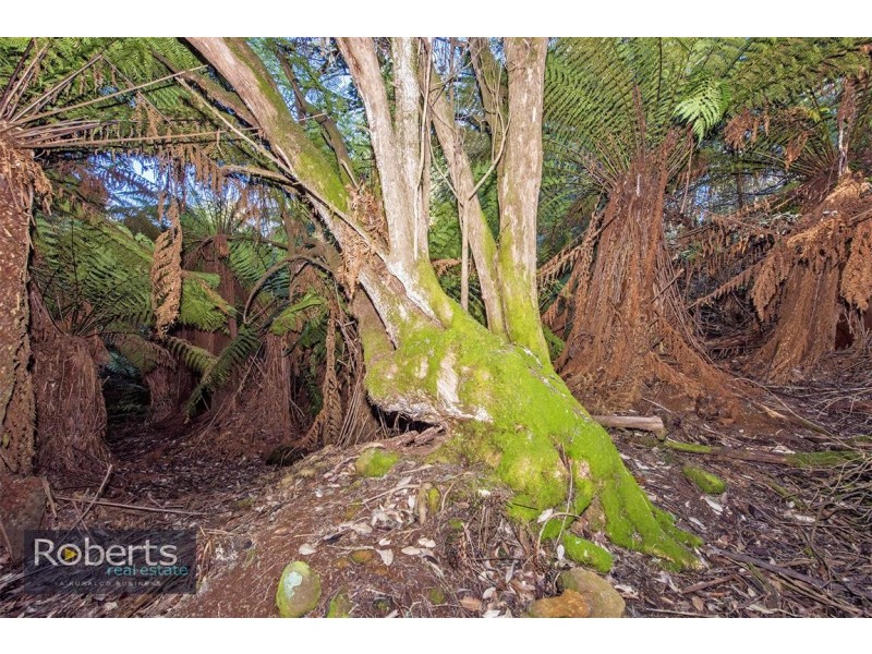 317 South Nietta Road, Nietta TAS 7315