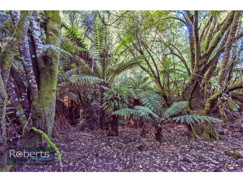 317 South Nietta Road, Nietta TAS 7315