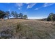 317 South Nietta Road, Nietta TAS 7315