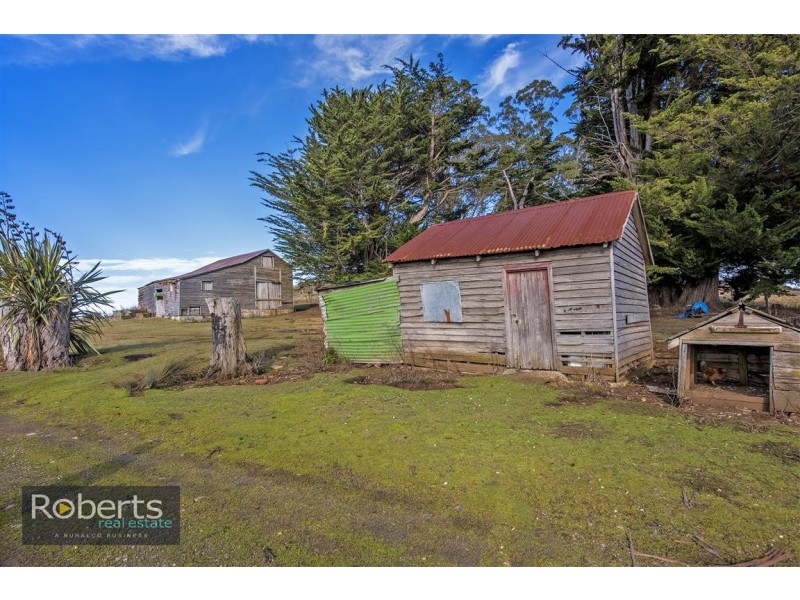 317 South Nietta Road, Nietta TAS 7315