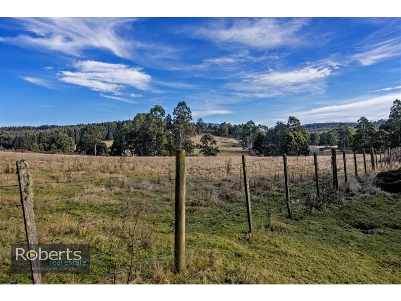 317 South Nietta Road, Nietta TAS 7315