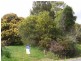 65 Deviation Road, Penguin TAS 7316
