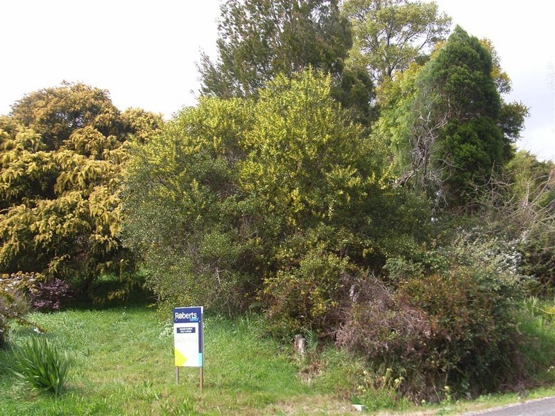 65 Deviation Road, Penguin TAS 7316