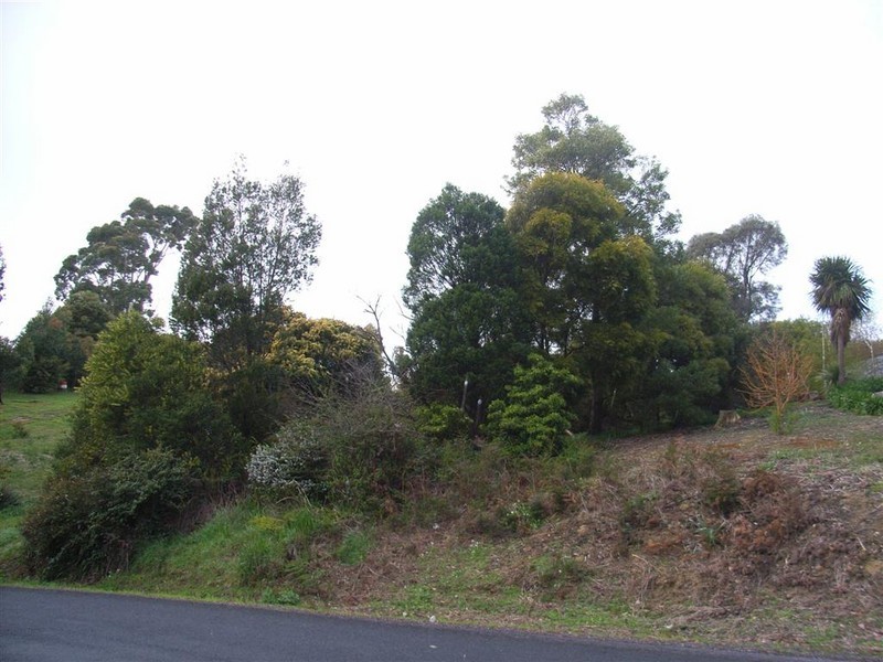 65 Deviation Road, Penguin TAS 7316