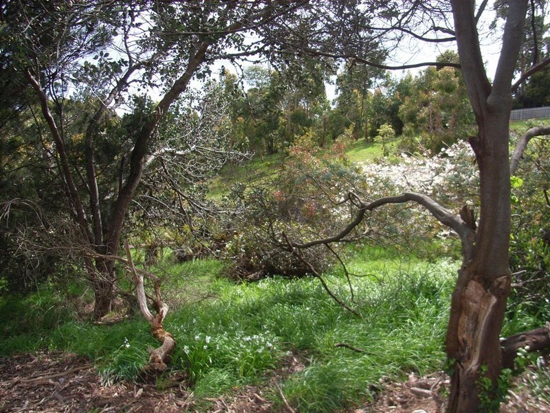 65 Deviation Road, Penguin TAS 7316
