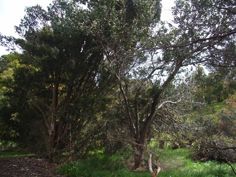 65 Deviation Road, Penguin TAS 7316