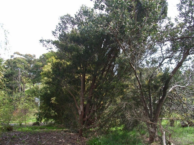 65 Deviation Road, Penguin TAS 7316