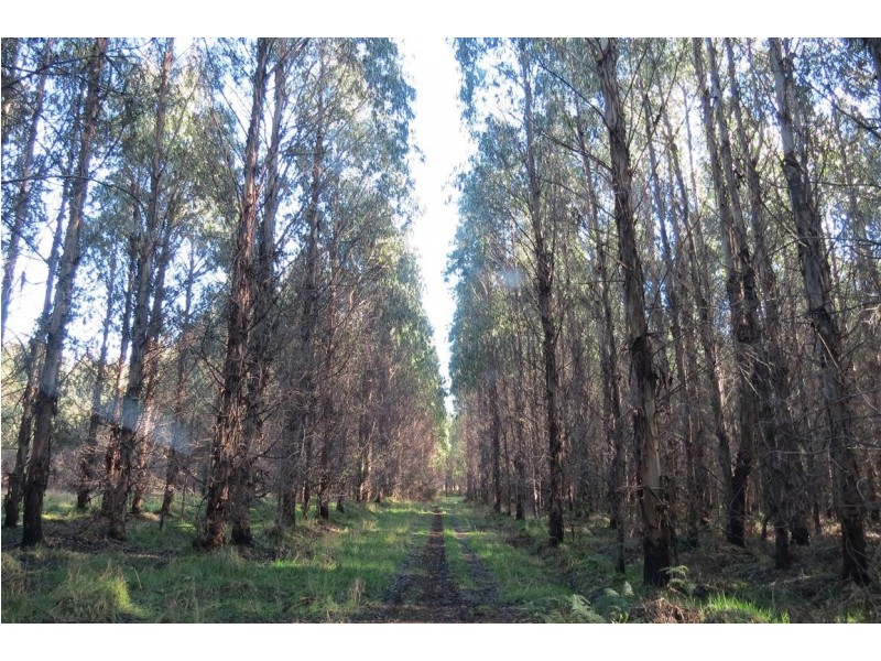 2125 Castra Road, Upper Castra TAS 7315