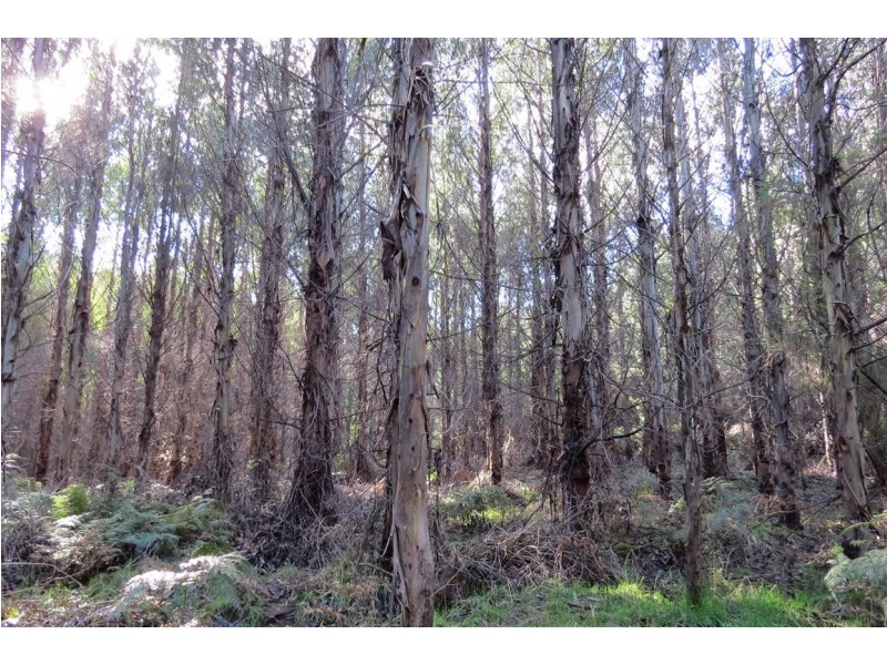 2125 Castra Road, Upper Castra TAS 7315