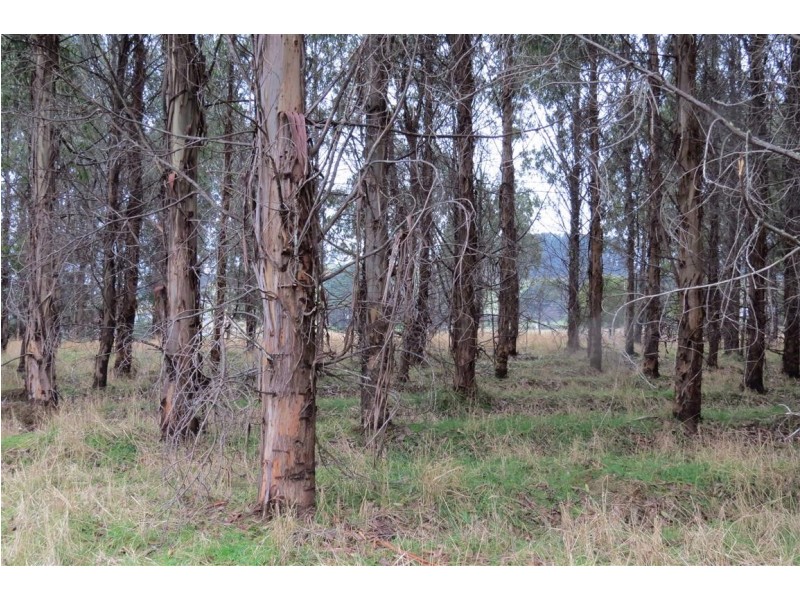 2125 Castra Road, Upper Castra TAS 7315