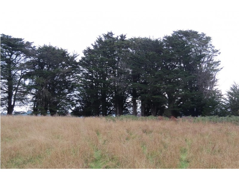 2125 Castra Road, Upper Castra TAS 7315