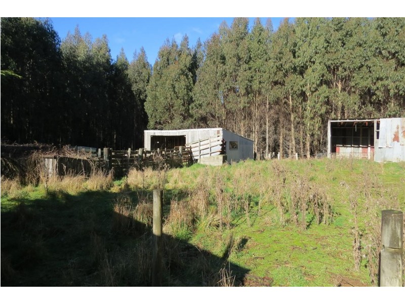 2125 Castra Road, Upper Castra TAS 7315