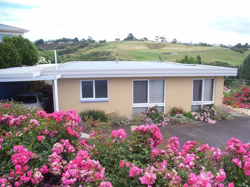 20 Elizabeth Street, Penguin TAS 7316