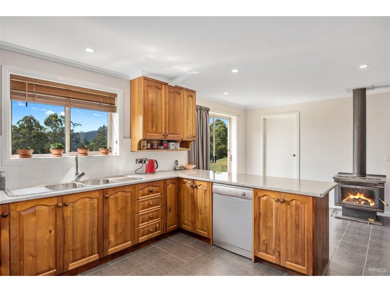 161 Raymond Road, Gunns Plains TAS 7315