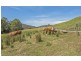 161 Raymond Road, Gunns Plains TAS 7315