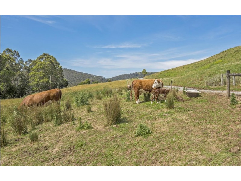161 Raymond Road, Gunns Plains TAS 7315