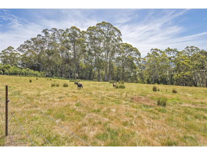 161 Raymond Road, Gunns Plains TAS 7315