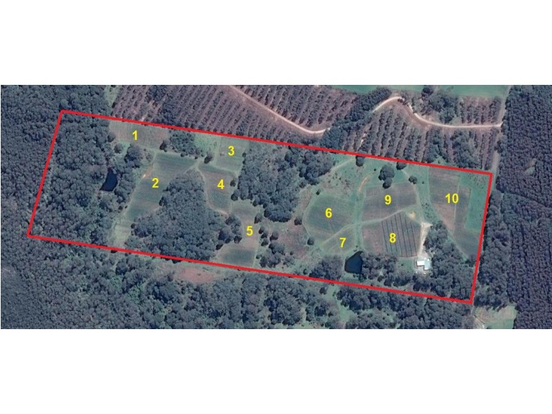 314 Loongana, Nietta TAS 7315