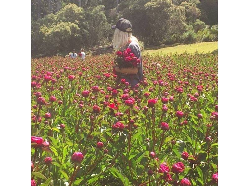 314 Loongana, Nietta TAS 7315