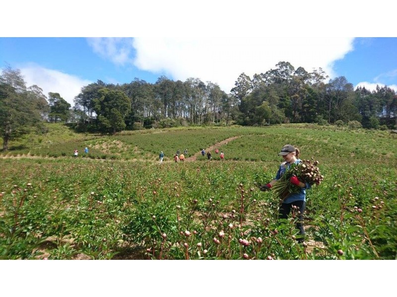 314 Loongana, Nietta TAS 7315