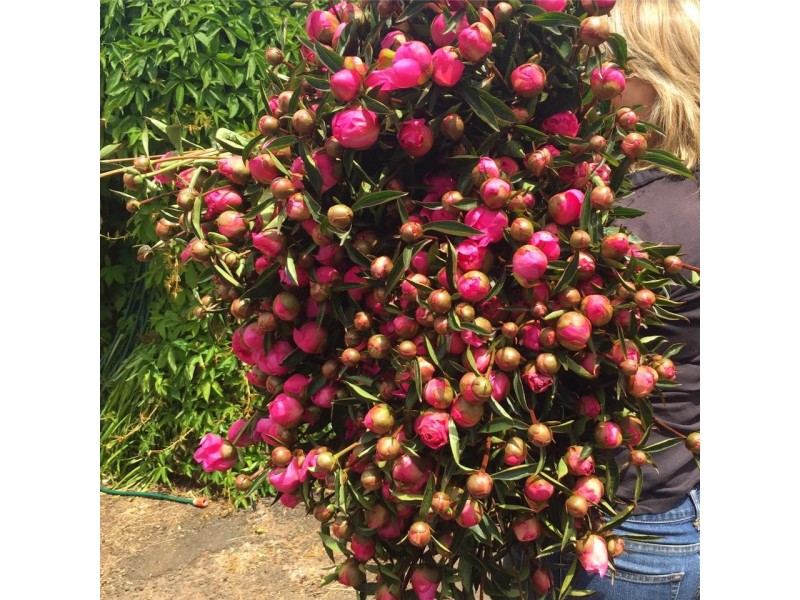 314 Loongana, Nietta TAS 7315