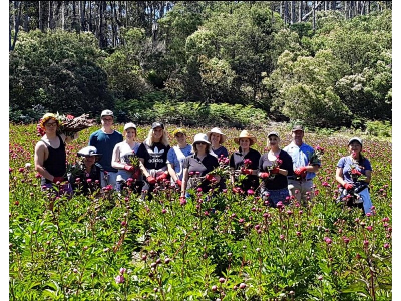 314 Loongana, Nietta TAS 7315