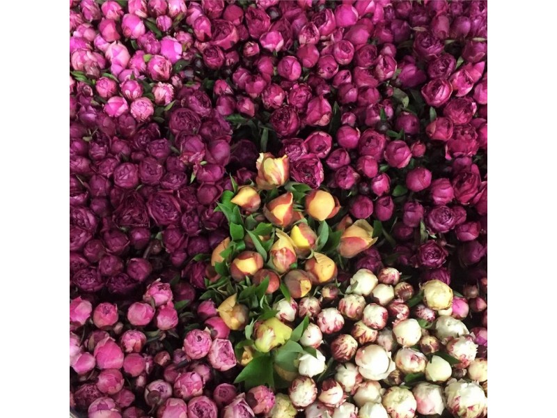 314 Loongana, Nietta TAS 7315